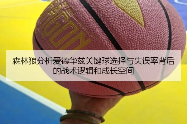 森林狼分析爱德华兹关键球选择与失误率背后的战术逻辑和成长空间